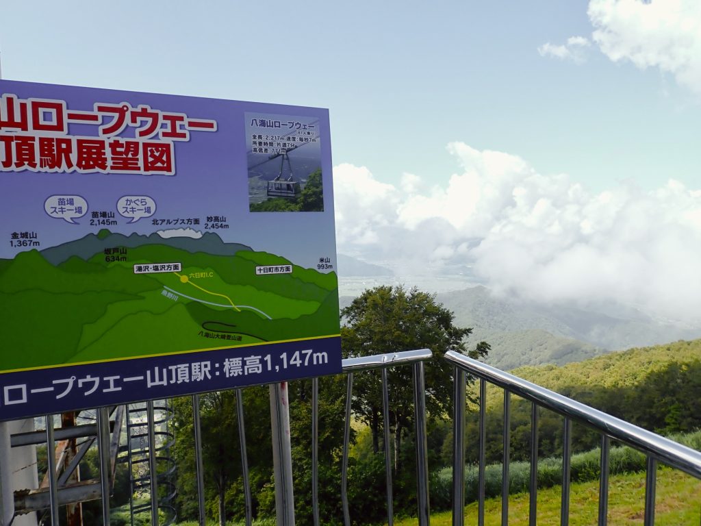 タイミングによりちょっと見えるときもありました