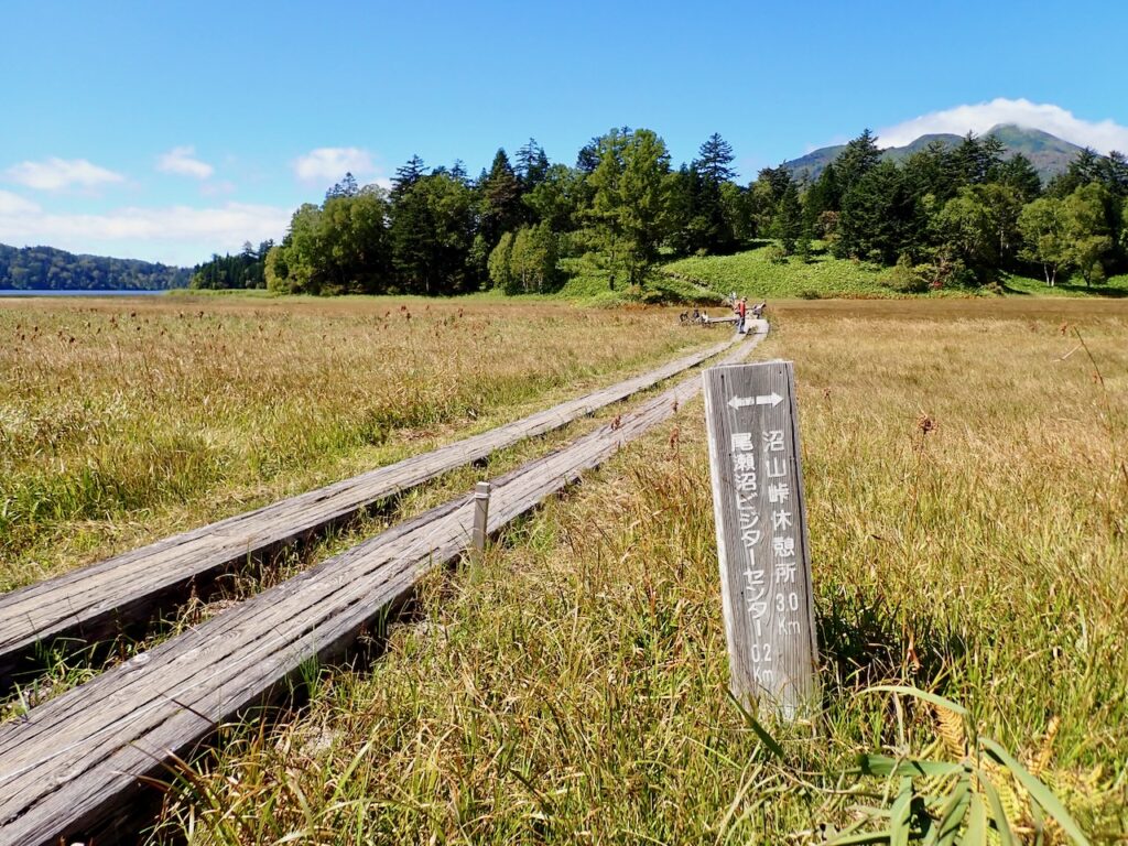 尾瀬沼 御池から沼山峠ルートにて